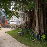 La Quinta Caribeña
