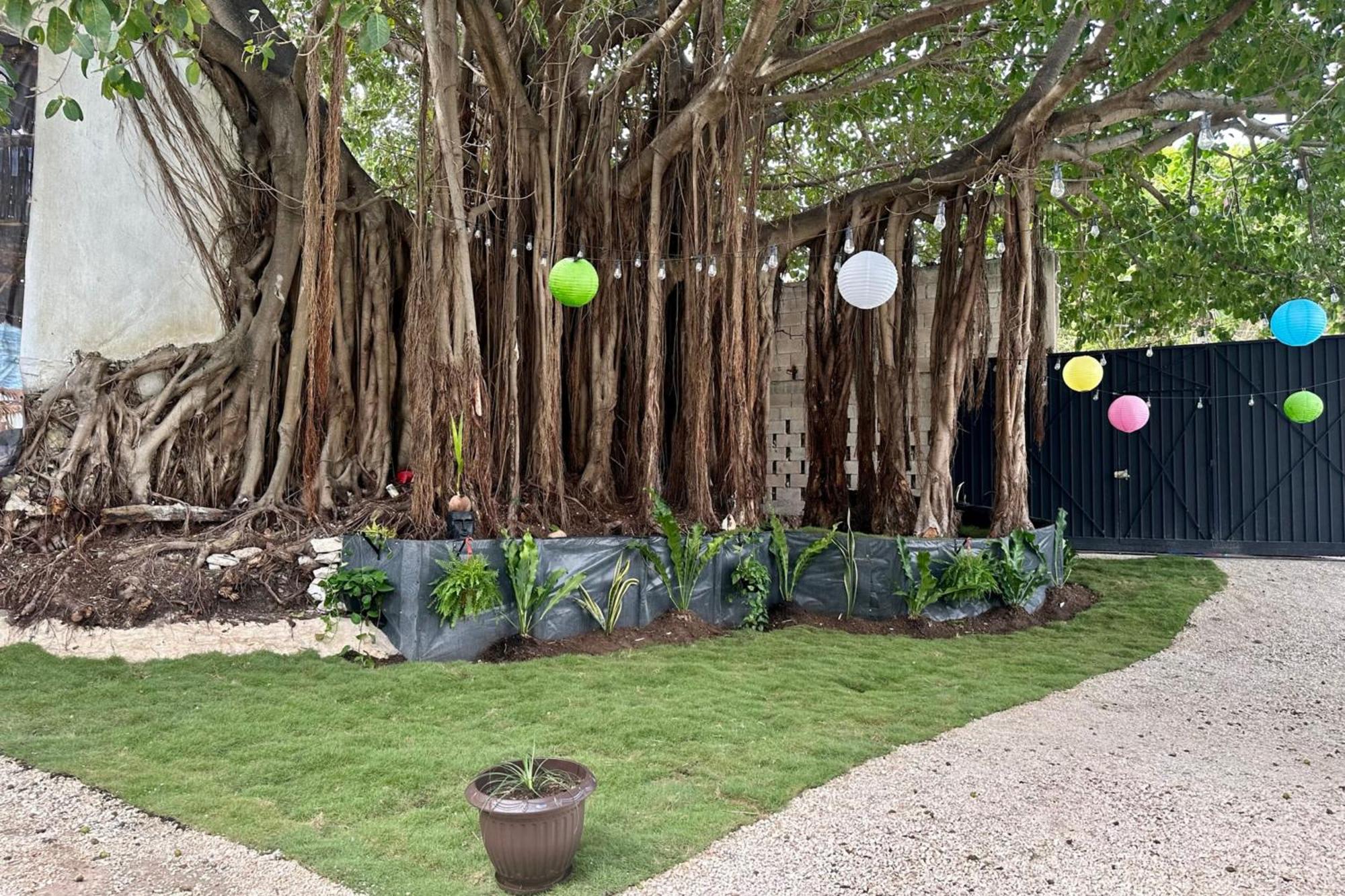 La Quinta Caribeña * Playa del Carmen
