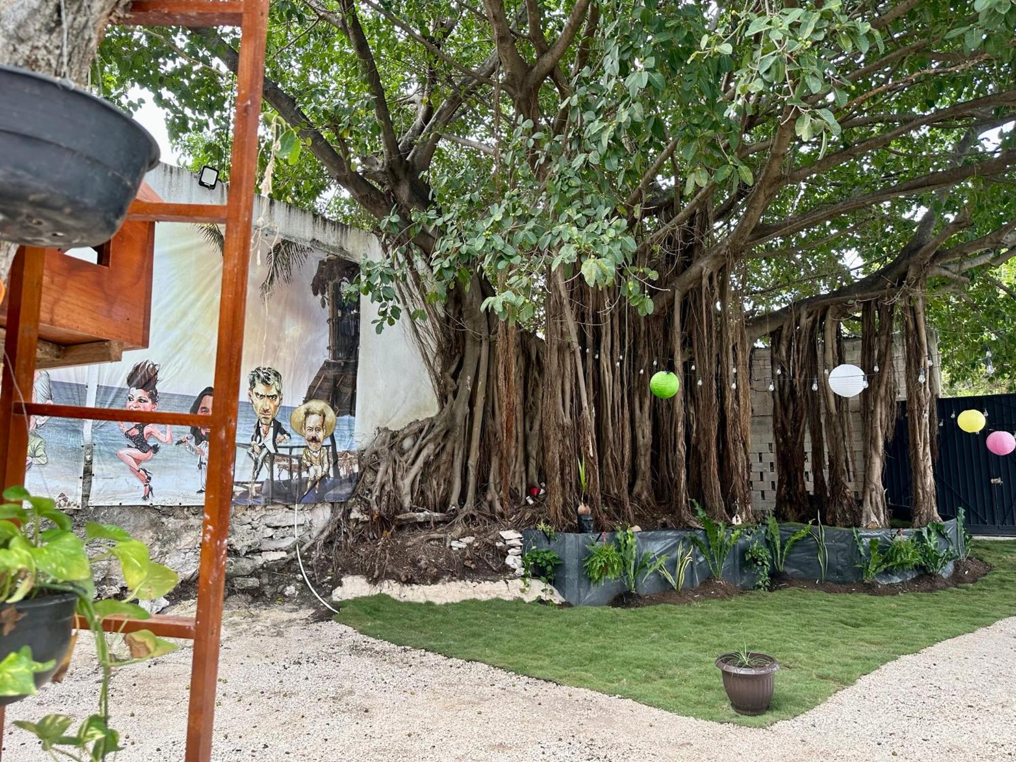 La Quinta Caribeña Apartamento
